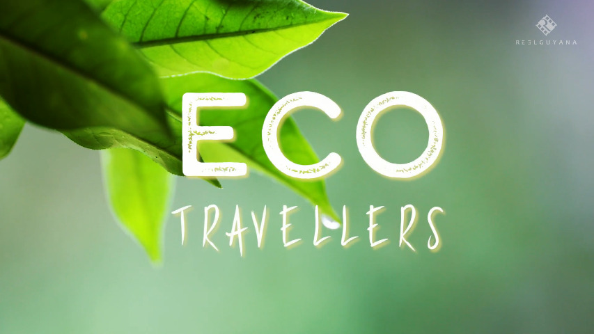 Eco Travellers (2021)